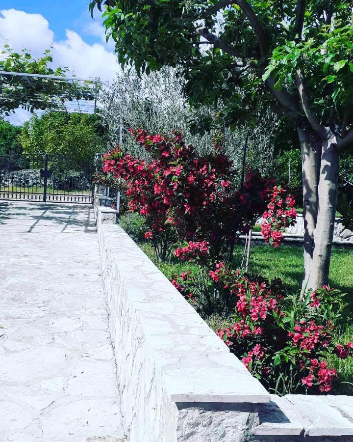 فندق River Side تريبينيي المظهر الخارجي الصورة